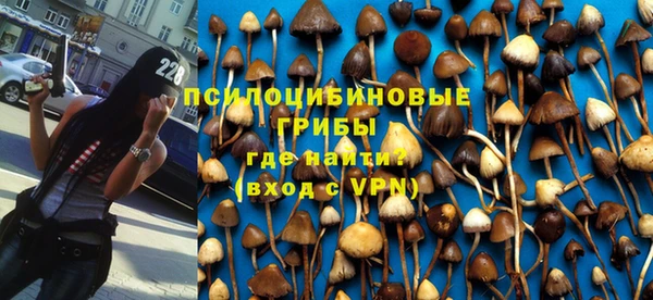 соль курить ск Белокуриха