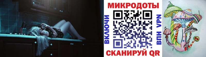 kraken ССЫЛКА  Михайлов  Псилоцибиновые грибы мицелий 